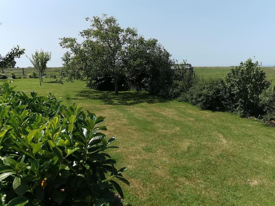 Dependance Au Calme Dans Notre Jardin Saint-Aubin-Des-Preaux Exterior foto